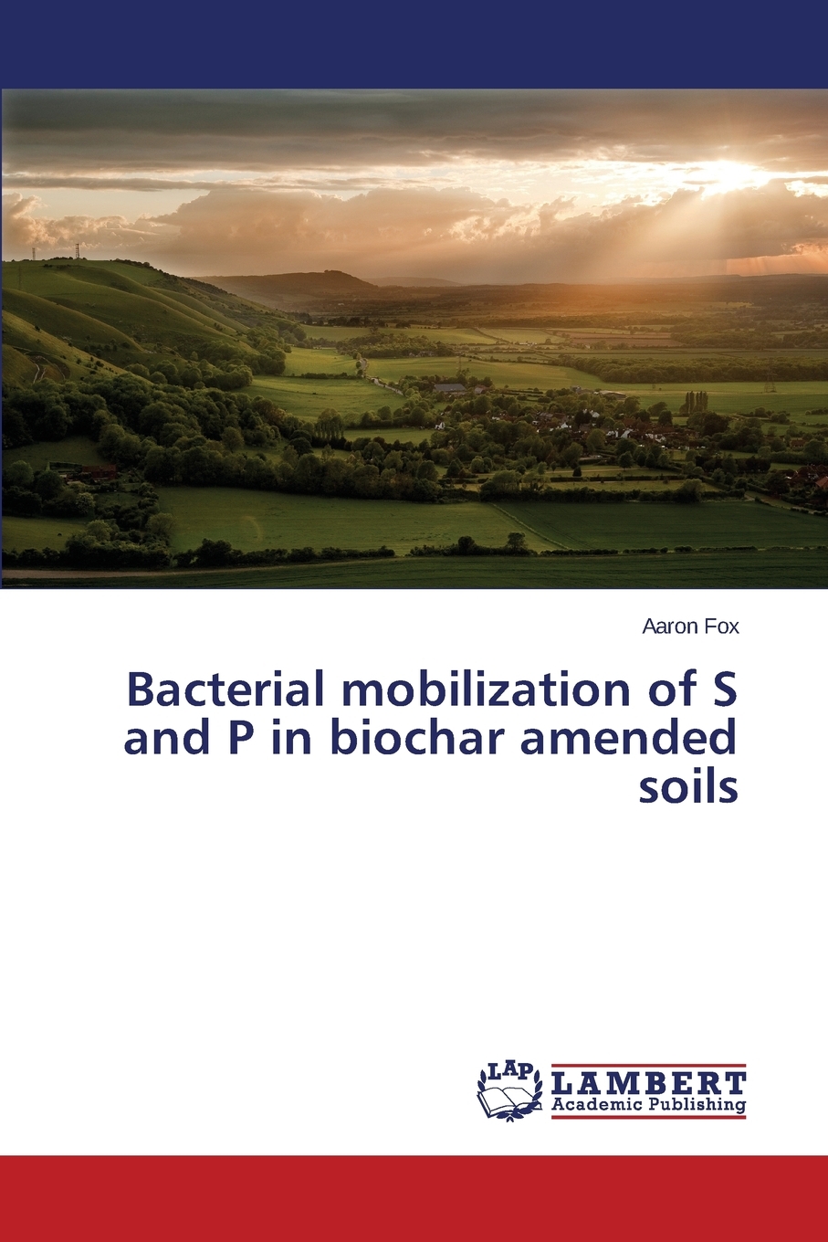 预售按需印刷 Bacterial mobilization of S and P in biochar amended soils