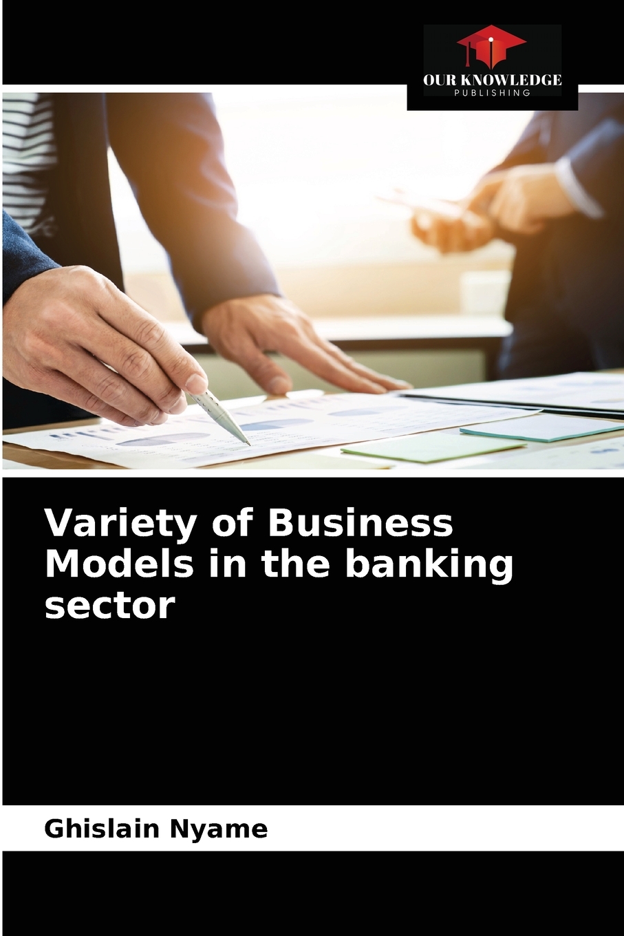 【预售按需印刷】Variety of Business Models in the banking sector