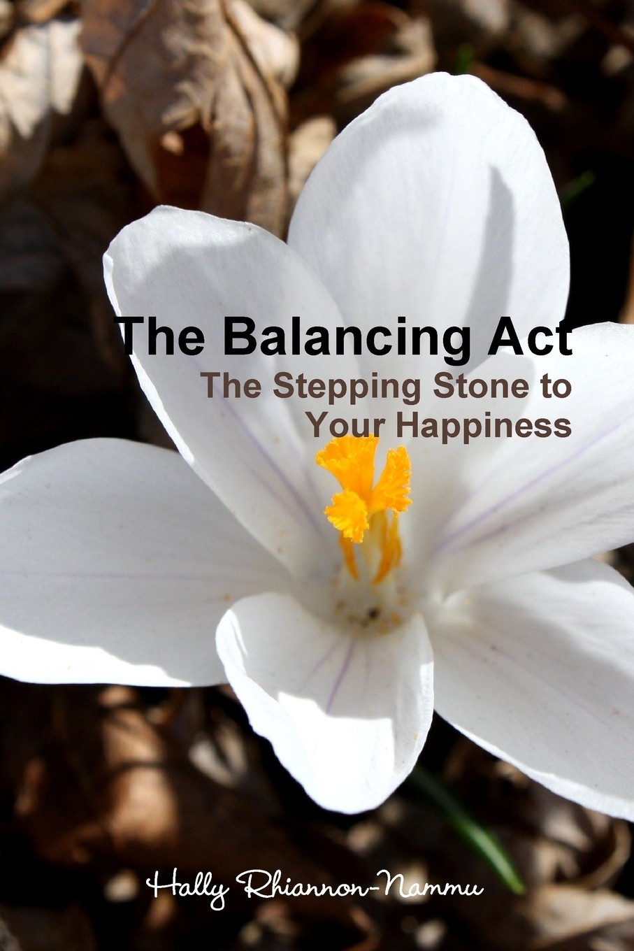【预售 按需印刷】the balancing act