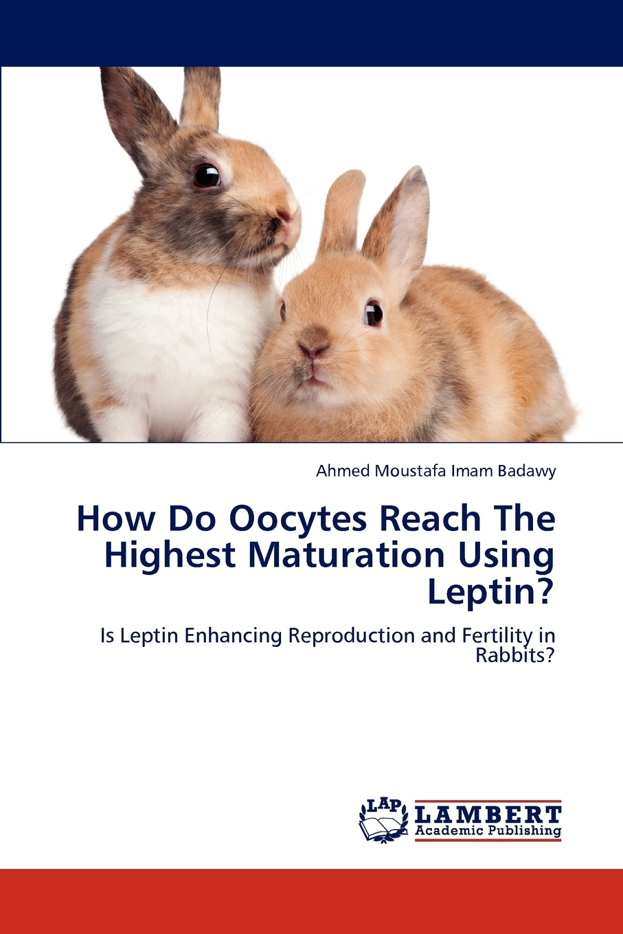 【预售按需印刷】How Do Oocytes Reach the Highest Maturation Using Leptin?