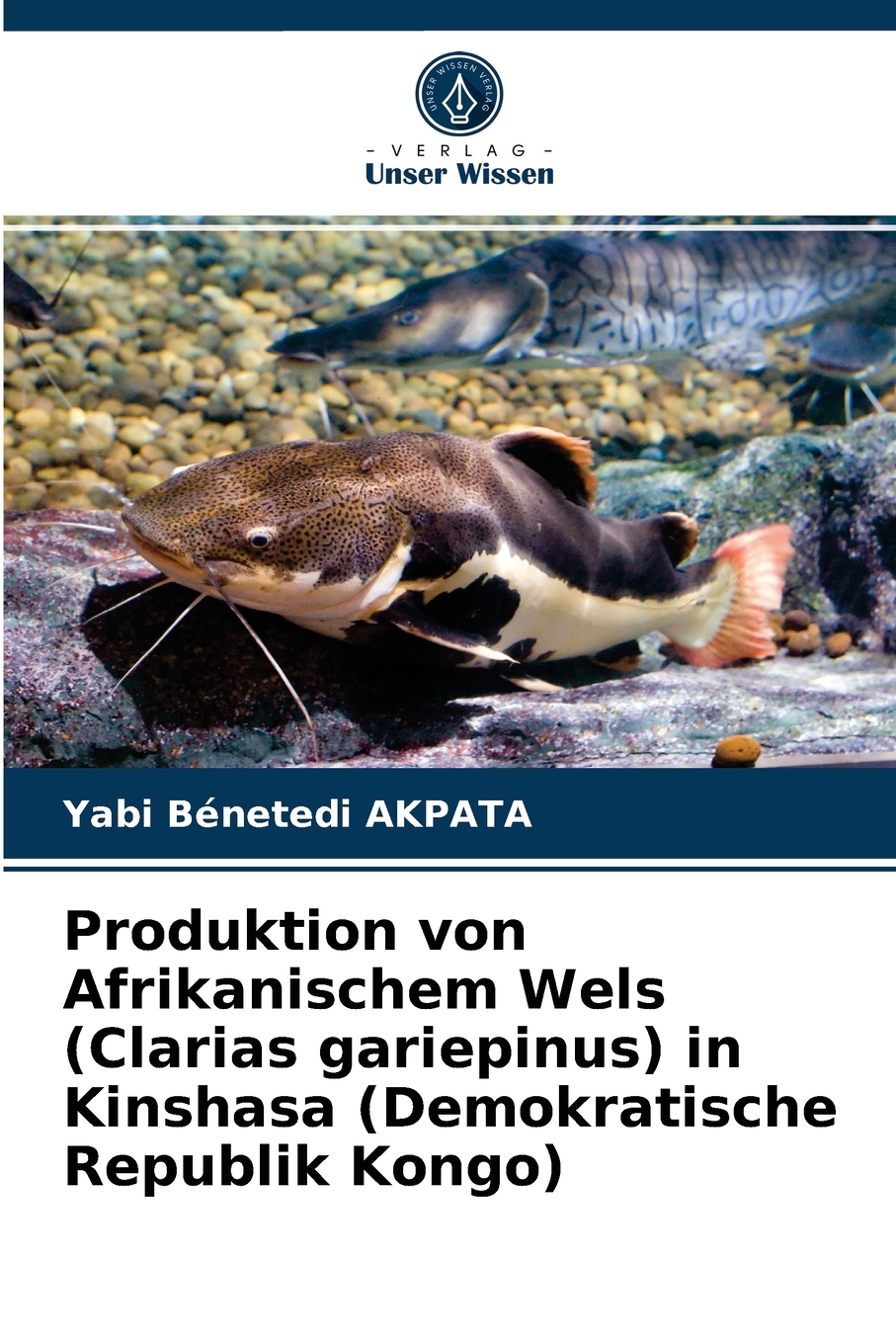 预售 按需印刷Produktion von Afrikanischem Wels (Clarias gariepinus) in Kinshasa (Demokratische Republik Kongo)德语ger 书籍/杂志/报纸 原版其它 原图主图