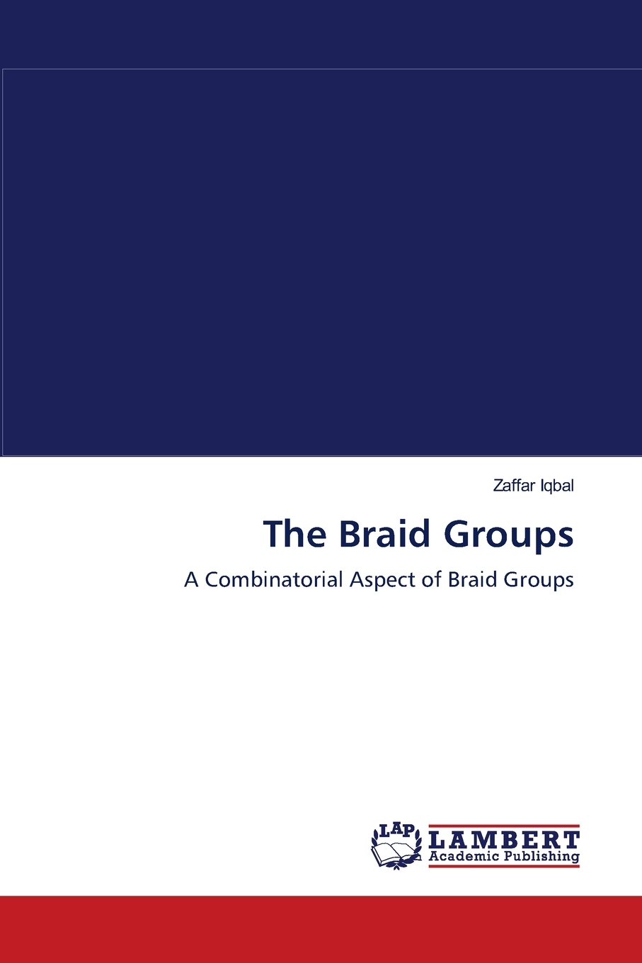 【预售按需印刷】The Braid Groups