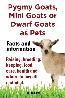 预售 按需印刷 Pygmy Goats as Pets. Pygmy Goats  Mini Goats or Dwarf Goats