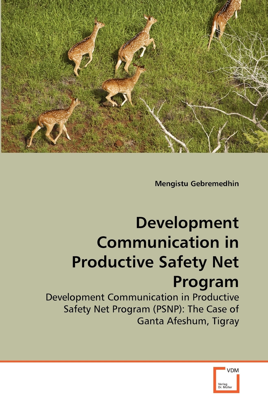 【预售 按需印刷】Development Communication in Productive Safety Net Program 书籍/杂志/报纸 原版其它 原图主图