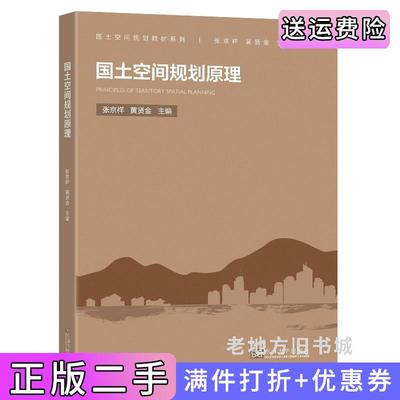 二手书国土空间规划原理张京祥东南大学出版社9787564193676