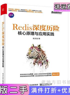 二手正版Redis深度历险:核心原理与应用实践钱文品电子工业出版社