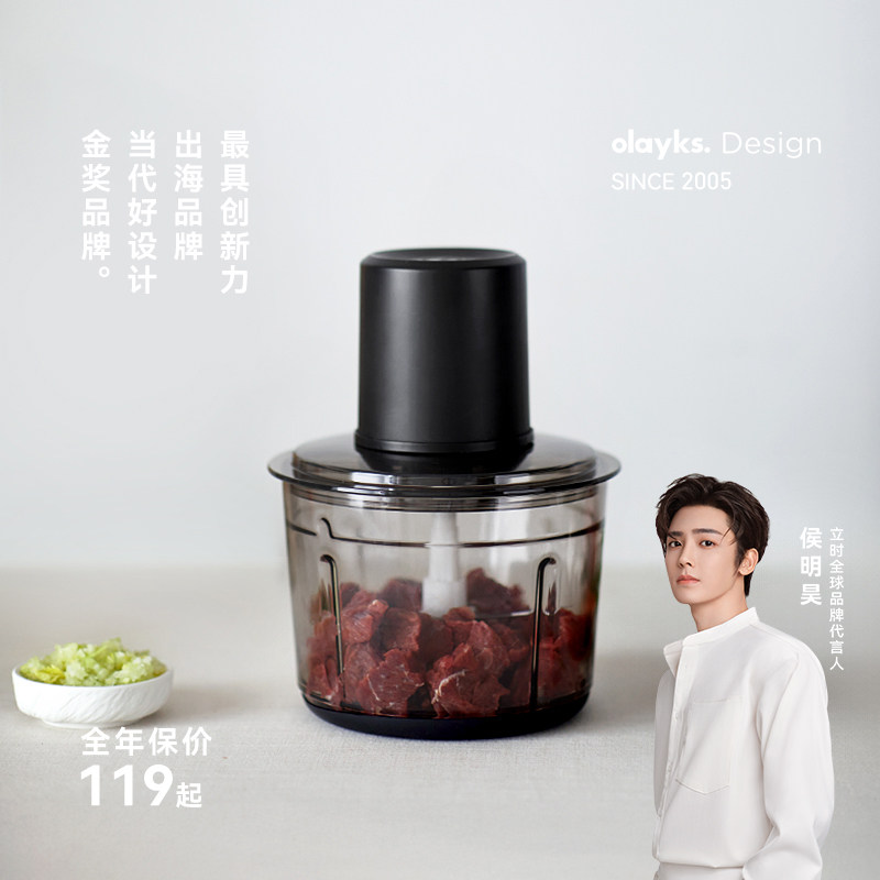 olayks立时绞肉机家用小型电动碎肉打馅蒜泥多功能全自动搅拌机