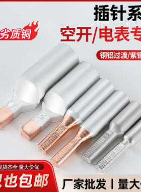 C45空开专用铜铝插针DTLC GTLA DTA-10/16/25平方电表专用线鼻子
