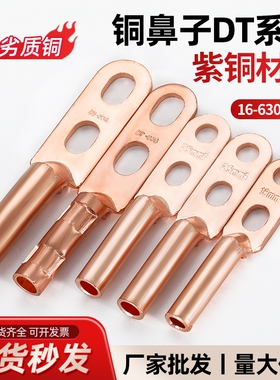 国标双孔DTS铜鼻子接线端子紫铜镀锡铜线耳16/25/35/50/70/95平方