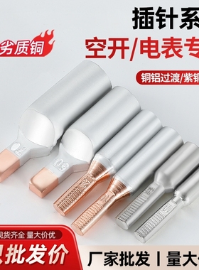 C45空开专用铜铝插针DTLC GTLA DTA-10/16/25平方电表专用线鼻子
