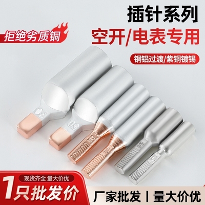 C45空开专用铜铝插针DTLC GTLA DTA-10/16/25平方电表专用线鼻子