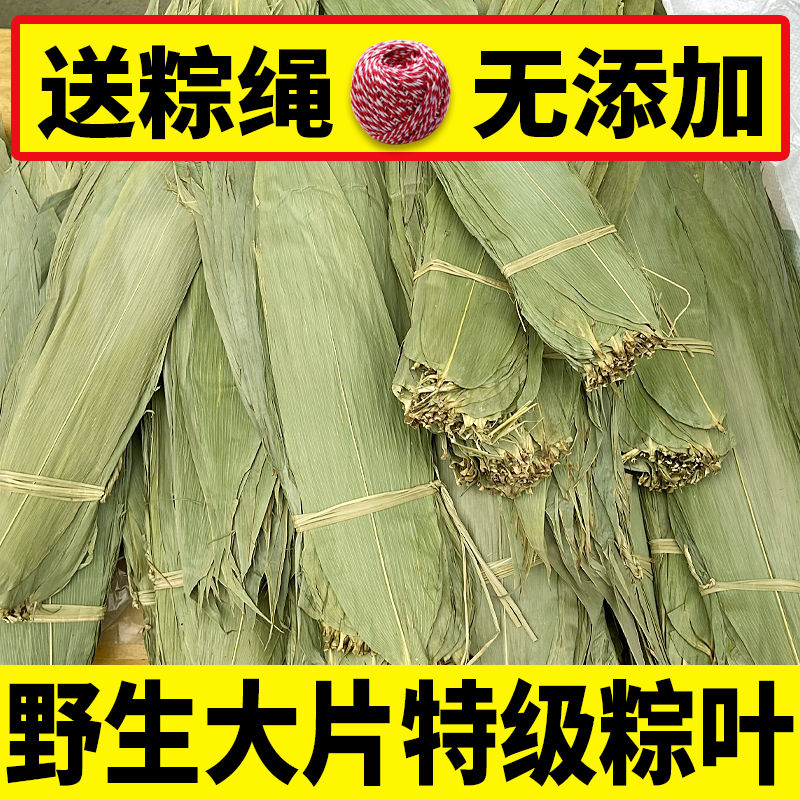 【大】粽叶包邮干粽叶新鲜野生大粽叶子包粽子叶非芦苇叶家用商用-封面