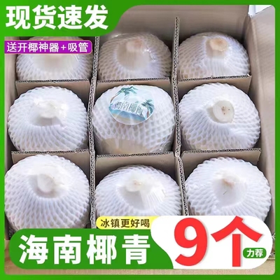 海南文昌特产去皮椰青现摘现发水果孕妇补羊水新鲜椰子椰汁椰子蛋