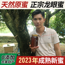 广西纯正土蜂蜜 2023年新蜜2斤农家自产纯天然野生龙眼蜜滋补春蜜