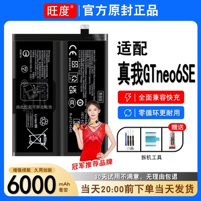 适用真我GTneo6se电池原装GTNEO6SE正品内置RMX3850电板BLPA51