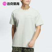 Adidas 运动休闲T恤IS9513 男子短袖 Terrex 国家地理联名款
