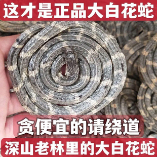 大白花蛇中药材金钱白花蛇银环蛇白花蛇白花蛇泡酒整条蕲蛇乌梢蛇