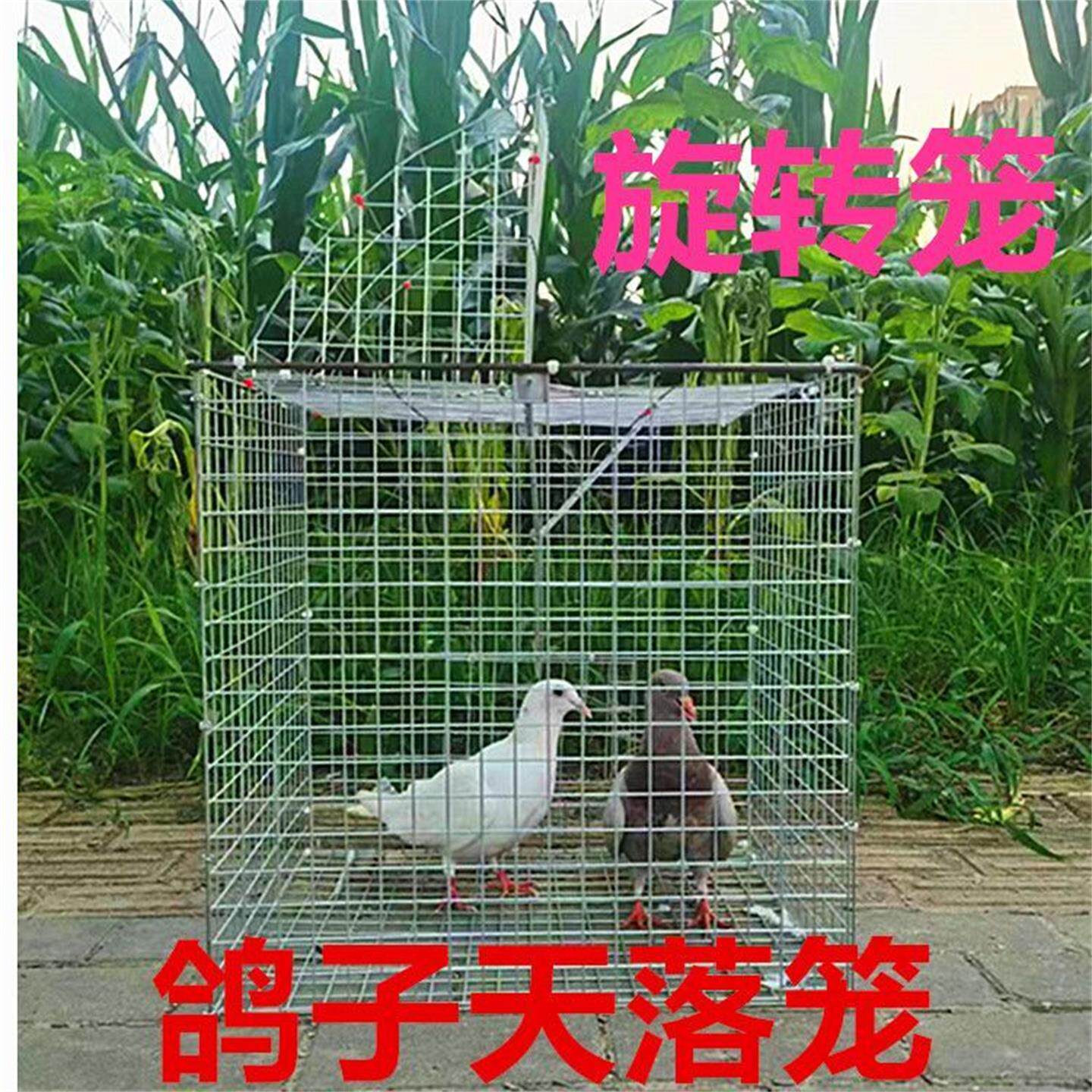 新款天落笼圆顶大型自动防逃设计