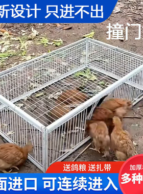 鸽子笼只进不出天撞门收鸽子笼收扑有进无出笼活动门收鸽笼野外