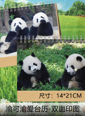 大熊猫渝可渝爱福宝花花萌兰圆润飞云胖大海2026年台历挂历日历定