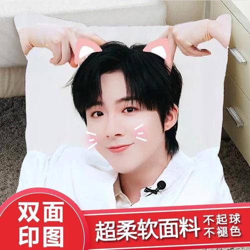 新刘宇宁抱枕明星周边装饰应援物ins风公仔diy小摆件创意礼物靠枕
