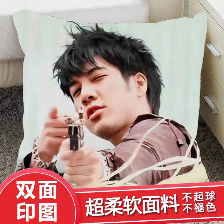 新款王力宏抱枕玩偶公仔靠垫同款海报墙贴周边宿舍美甲店酒吧摆件