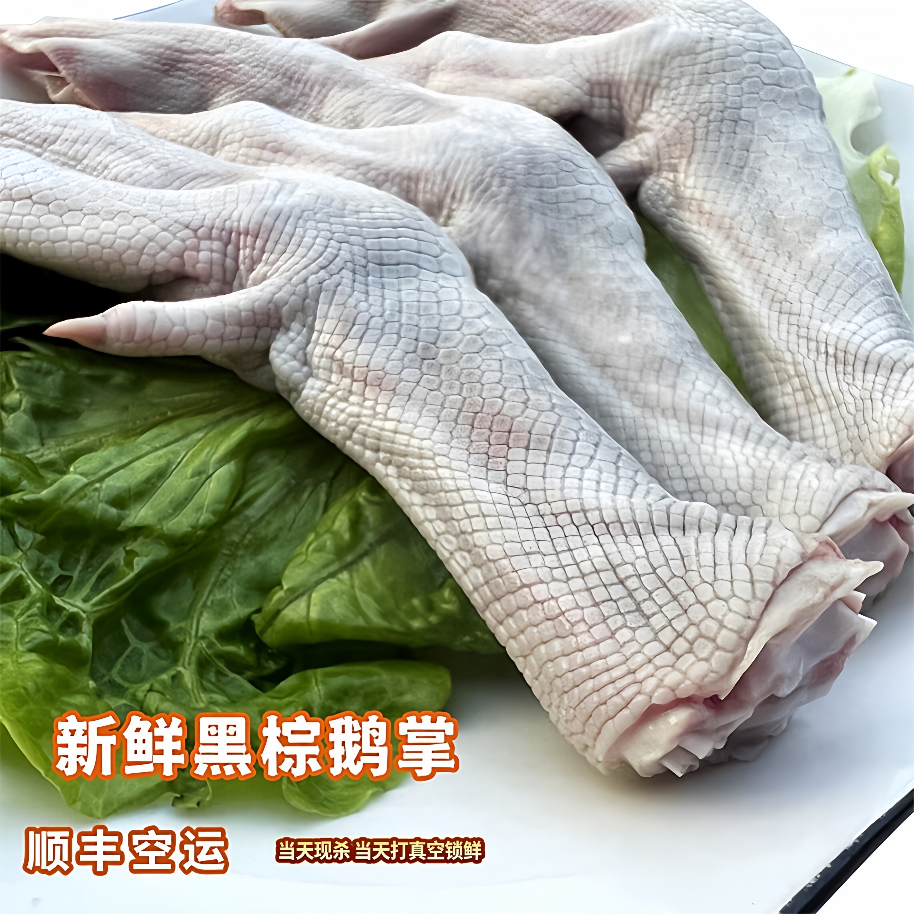 新鲜现杀黑棕鹅大鹅掌亦生鹅掌鹅脚板大鹅爪真空速冻顺丰冷链