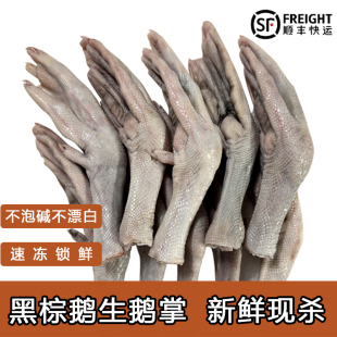 新鲜现杀黑棕鹅鹅掌不泡碱不漂白速冻锁鲜生鹅掌商用高品质