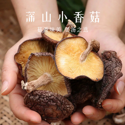 原始森林采寻野生香菇干货
