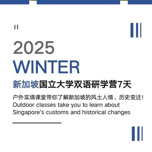 30新加坡游学夏令营新加坡国立大学人文双语研学营
