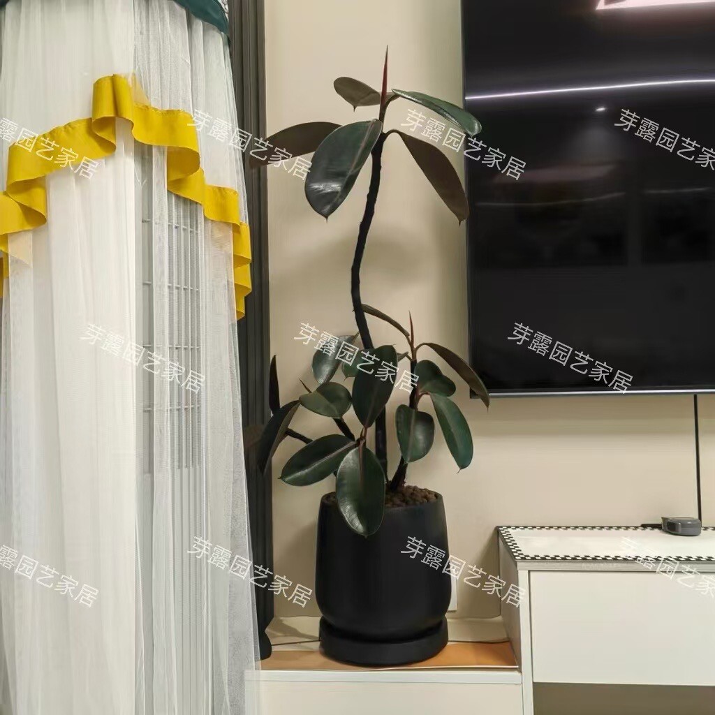 简约酒杯花盆大号客厅阳台户外绿植盆栽种植现代北欧高级镁泥花盆