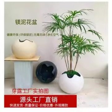 厂直销水泥镁泥黑金刚橡皮树千年木龙血树简约北欧网红落地圆花盆,鲜花速递/花卉仿真/绿植园艺,花盆,淘宝优惠券,粉丝福利购,淘宝优惠卷