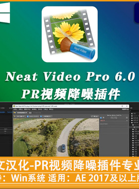 PR插件中文汉化PR视频降噪插件专业版 Neat Video Pro V6.0 Win