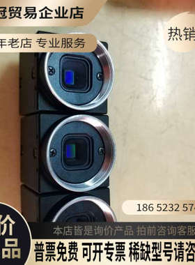 询价：BFLY-PGE-12A2M-CS灰点工业相机拍摄成