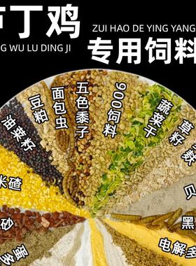 芦丁鸡专用饲料高蛋白营养全面产蛋育雏专用粮加虫干五谷蔬菜干粮