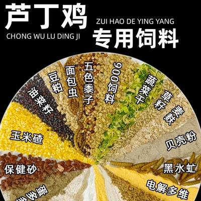 芦丁鸡专用饲料高蛋白营养全面产蛋育雏专用粮加虫干五谷蔬菜干粮