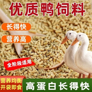 鸭饲料小黄鸭粮食柯尔鸭中大鸭饲料大颗粒肉鸭产蛋鸭鸡鹅专用打窝