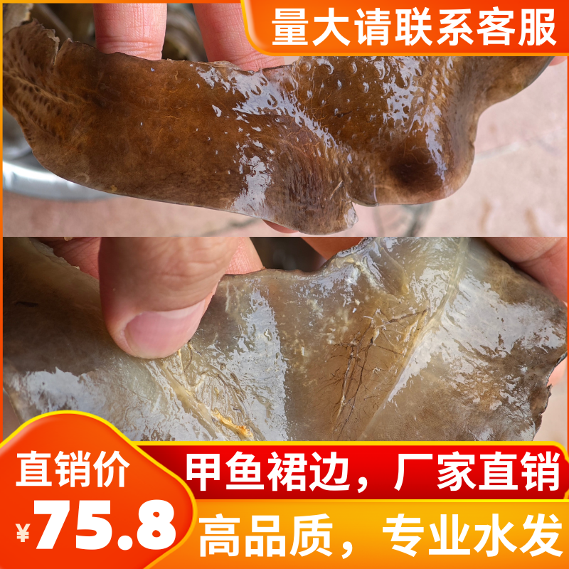 速冻甲鱼裙边水发免泡发新鲜干货王八水鱼甲鱼佛跳墙酒店特色食材