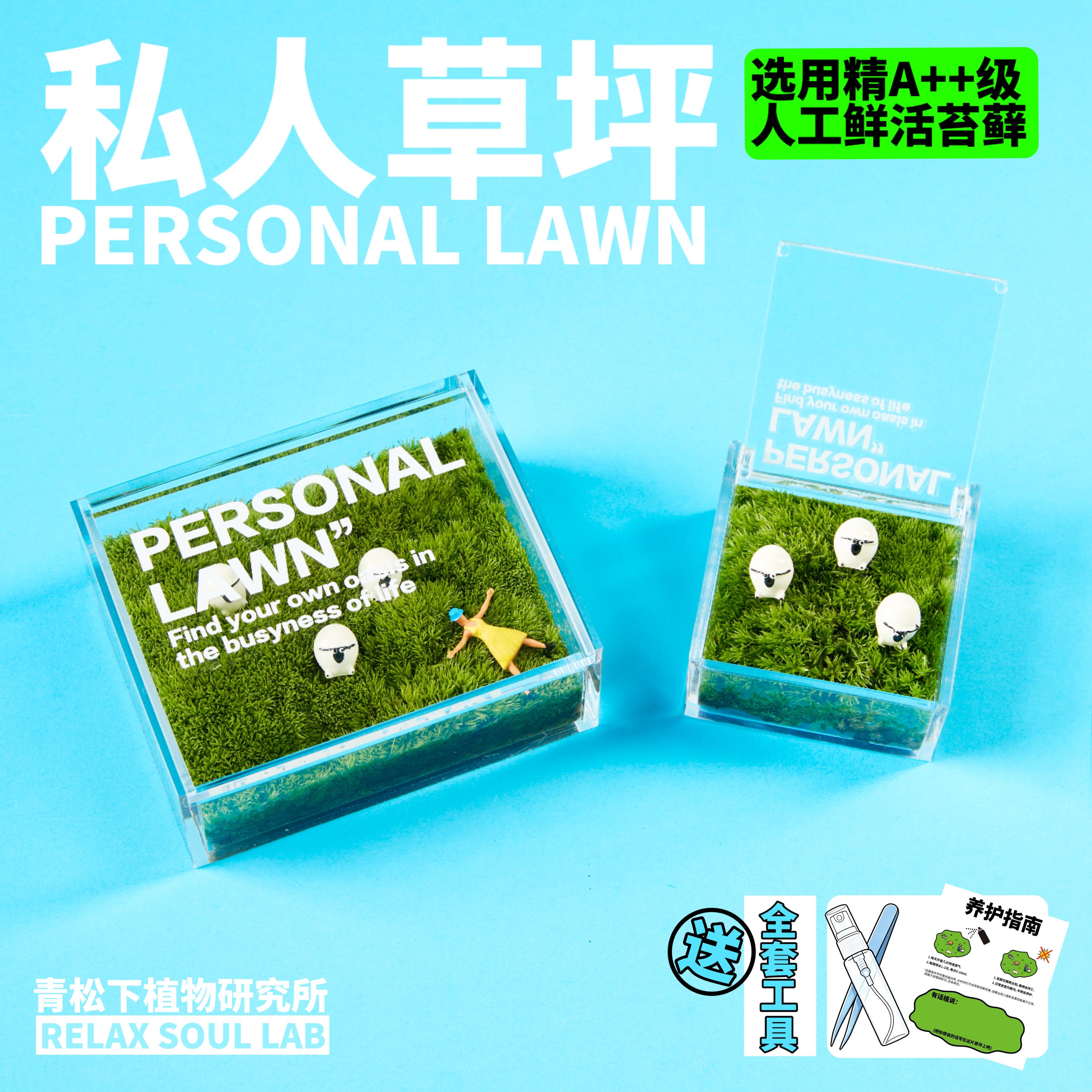 青松下-私人草坪苔藓微景观室内办公室桌面绿植盆栽解压创意礼物
