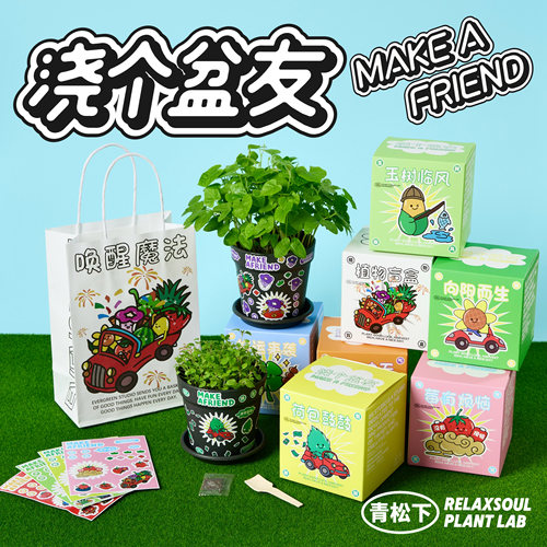 浇个盆友创意DIY种植小盆栽