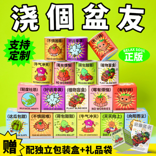 青松下-罐头植物含羞草向日葵番茄种子小盆栽幼儿园公司创意礼物