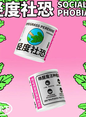 含羞草创意小盆栽趣味好养