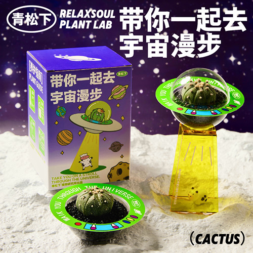 带你一起去宇宙漫步仙人球盆栽