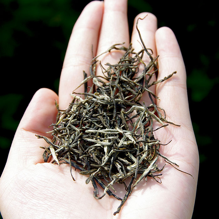 2026新茶广西横县茉莉花茶叶浓香特级松针茶叶散装香片250克