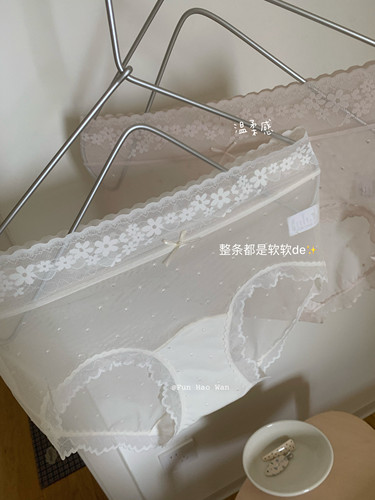 蕾丝控～加长裆部 整条都是软软的蕾丝内裤女 透视网纱 中腰棉裆