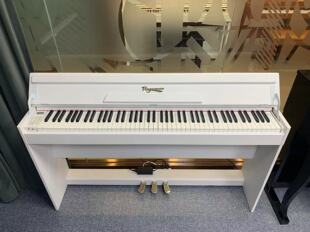 Rageman拉格曼数码电钢琴58817木纹烤漆重锤键智能电钢琴