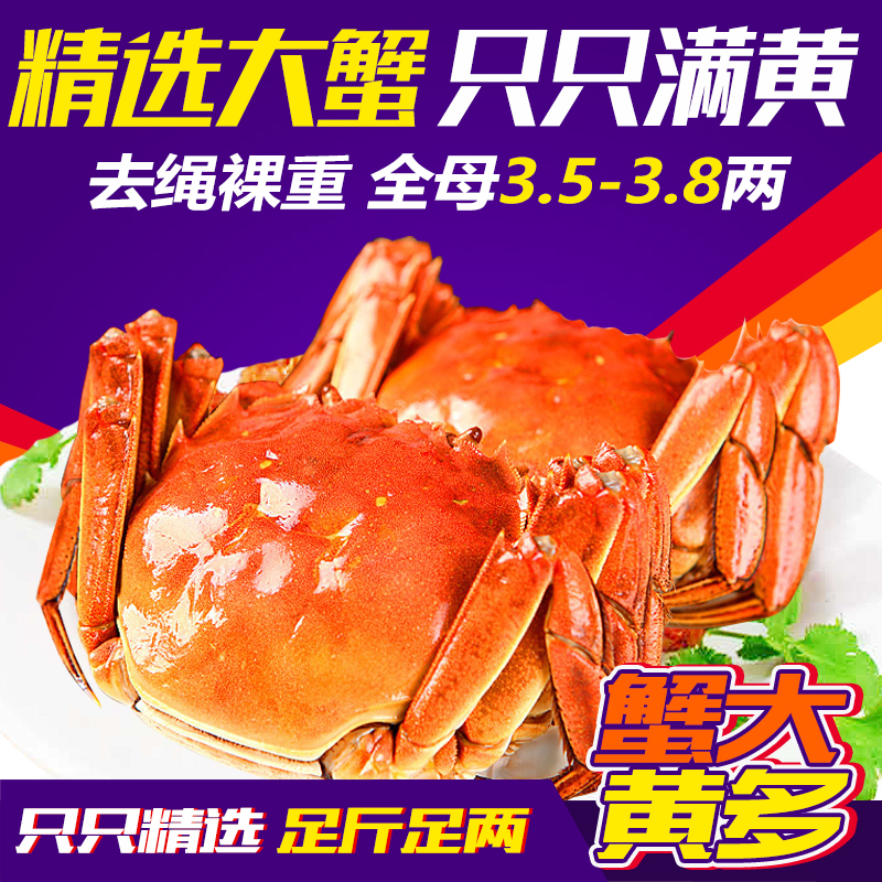 现货大闸蟹全母蟹3.5两