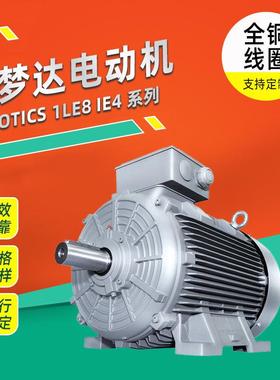 电机SIMOTICS 1LE8 IE4系列低压交流异步电动机经销商
