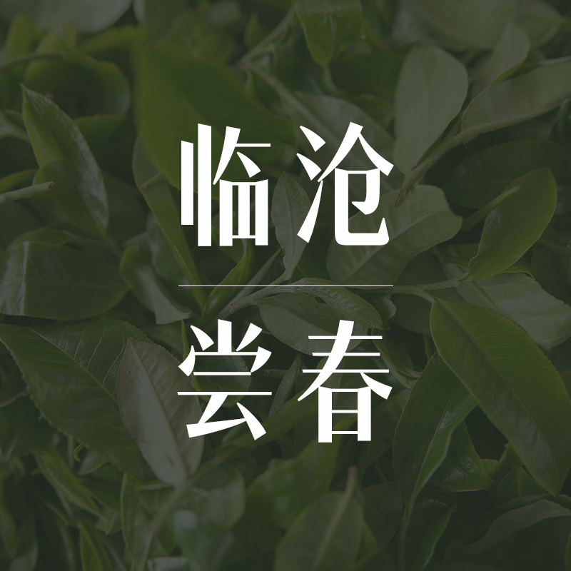 谷瑜临沧尝春普洱生茶2025云南临沧古树大树茶名山头茶样组合装