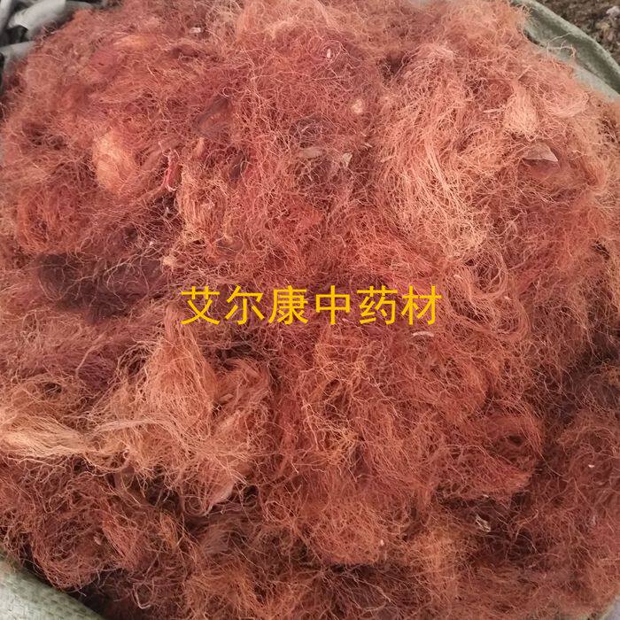 玉米须 500克 干玉米茶红须麦 粟米 苞粟须子